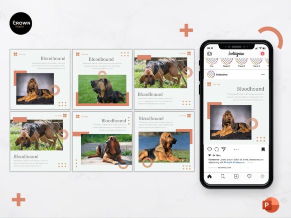 Download Instagram Feed Template -  Bloodhound - Feed template Collection
