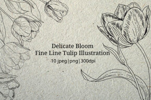 Download Delicate Bloom - Fine Line Illustration - Fine Collection